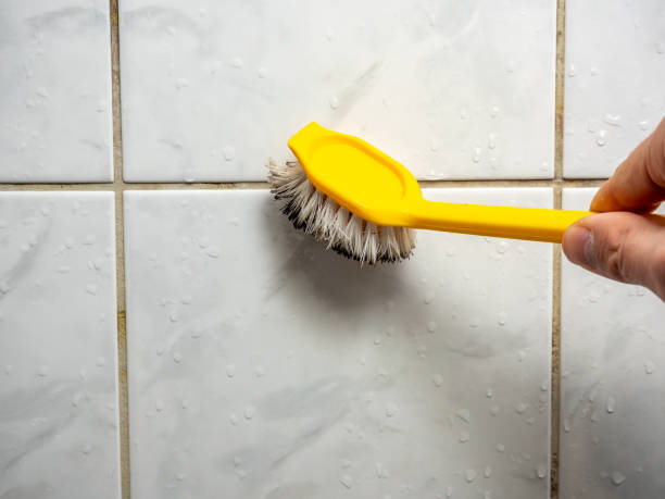 Best Mold Remediation for Schools in Westover, AL