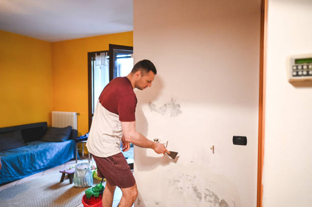 Best DIY Mold Remediation Support Services in Westover, AL